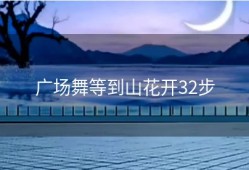 广场舞等到山花开32步