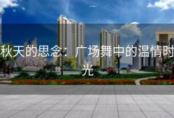 秋天的思念：广场舞中的温情时光
