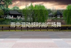 雨中泪动感时尚广场舞