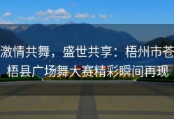 激情共舞，盛世共享：梧州市苍梧县广场舞大赛精彩瞬间再现
