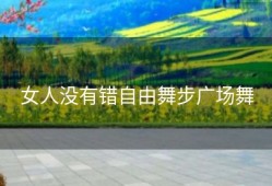 女人没有错自由舞步广场舞