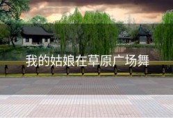 我的姑娘在草原广场舞