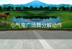 小气鬼广场舞分解动作