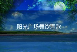 阳光广场舞饮酒歌