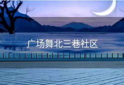 广场舞北三巷社区