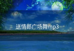 送情郎广场舞mp3