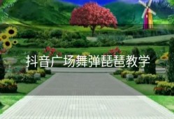 抖音广场舞弹琵琶教学