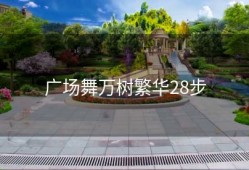 广场舞万树繁华28步