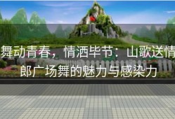 舞动青春，情洒毕节：山歌送情郎广场舞的魅力与感染力