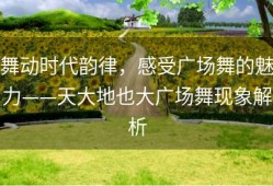 舞动时代韵律，感受广场舞的魅力——天大地也大广场舞现象解析