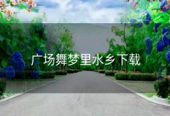 广场舞梦里水乡下载