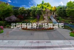 武阿哥健身广场舞减肥