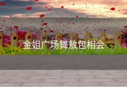 金姐广场舞敖包相会