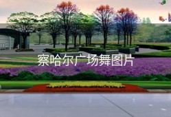 察哈尔广场舞图片