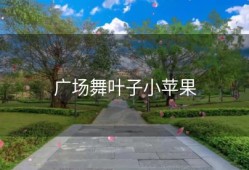 广场舞叶子小苹果