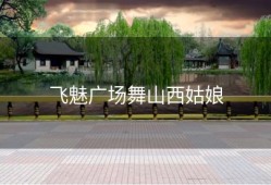 飞魅广场舞山西姑娘