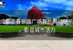 成都市春熙路广场舞：舞动快乐，彰显城市活力