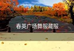春英广场舞服藏服