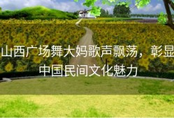 山西广场舞大妈歌声飘荡，彰显中国民间文化魅力