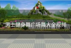 男士健身舞广场舞大全视频