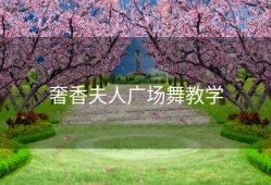 奢香夫人广场舞教学