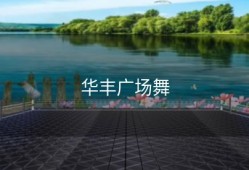 华丰广场舞