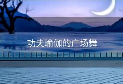 功夫瑜伽的广场舞