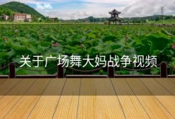 关于广场舞大妈战争视频