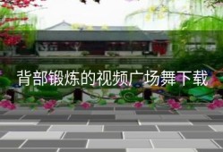 背部锻炼的视频广场舞下载