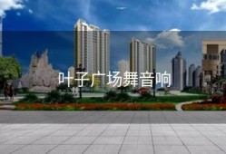 叶子广场舞音响