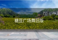 糖豆广场舞旧版