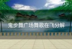 鬼步舞广场舞歌在飞分解