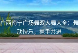 广西南宁广场舞双人舞大全：舞动快乐，携手共进