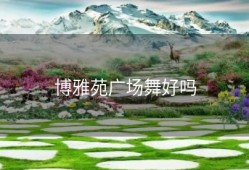 博雅苑广场舞好吗