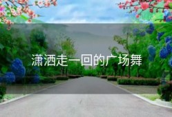 潇洒走一回的广场舞