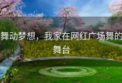 舞动梦想，我家在网红广场舞的舞台