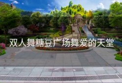 双人舞糖豆广场舞爱的天堂