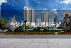 微妙广场舞大眼睛分解