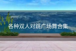 各种双人对跳广场舞合集