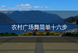 农村广场舞简单十六步