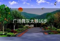 广场舞灰太狼16步