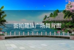 街拍藏族广场舞背面