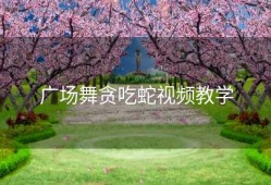 广场舞贪吃蛇视频教学