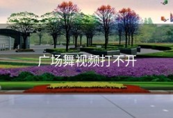 广场舞视频打不开
