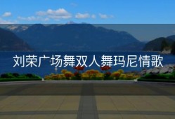 刘荣广场舞双人舞玛尼情歌