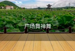 广场舞禅舞