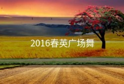 2016春英广场舞