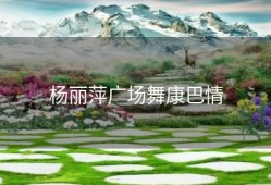 杨丽萍广场舞康巴情