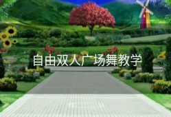 自由双人广场舞教学