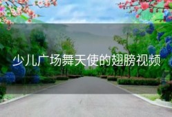 少儿广场舞天使的翅膀视频